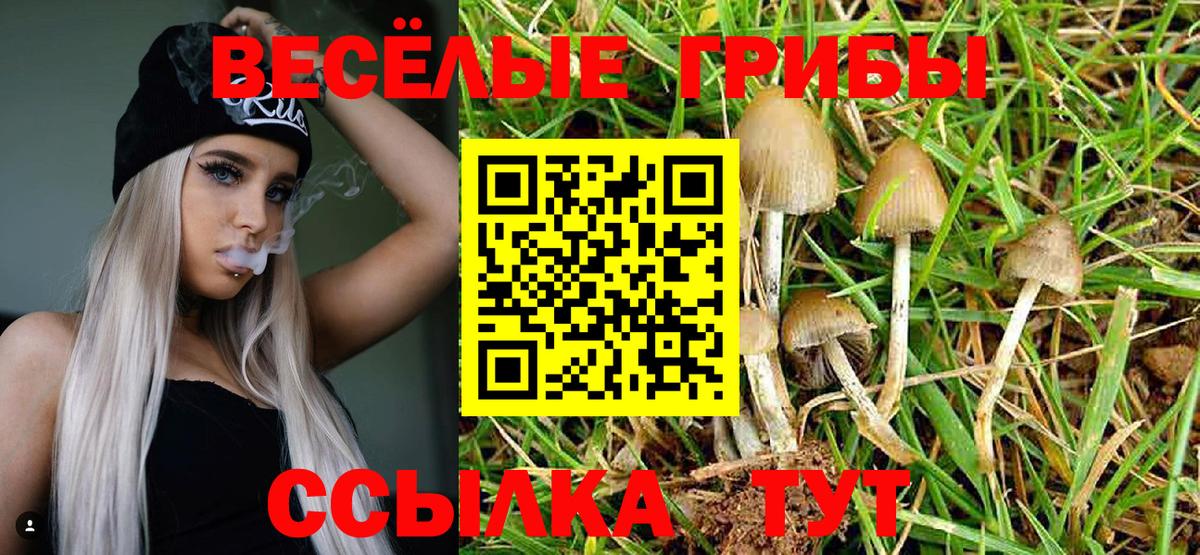 Галлюциногенные грибы Magic Shrooms  Вход с VPN  Дагестанские Огни 