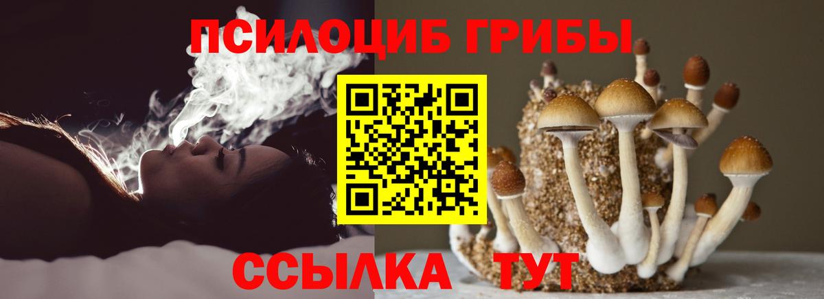Галлюциногенные грибы прущие грибы Дагестанские Огни